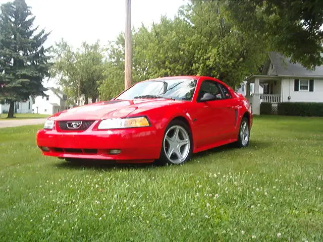 Picture013.webp