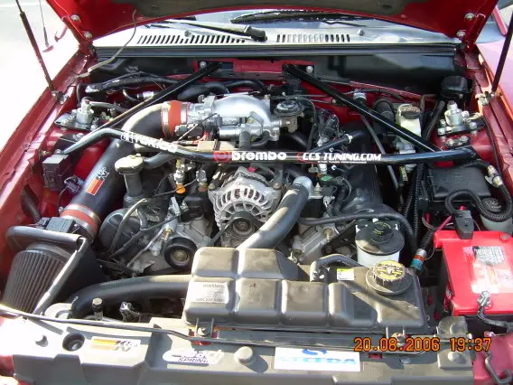 Picture013.webp