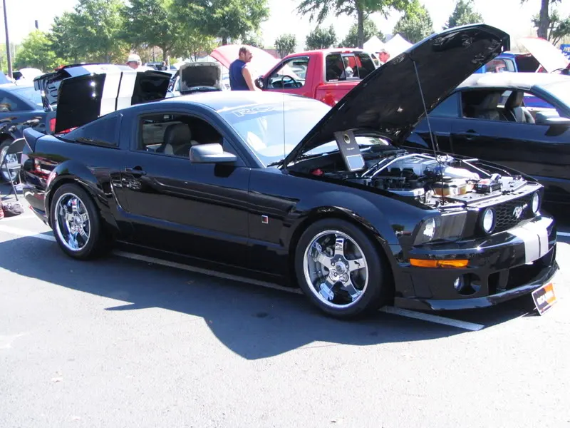 Picture014.webp