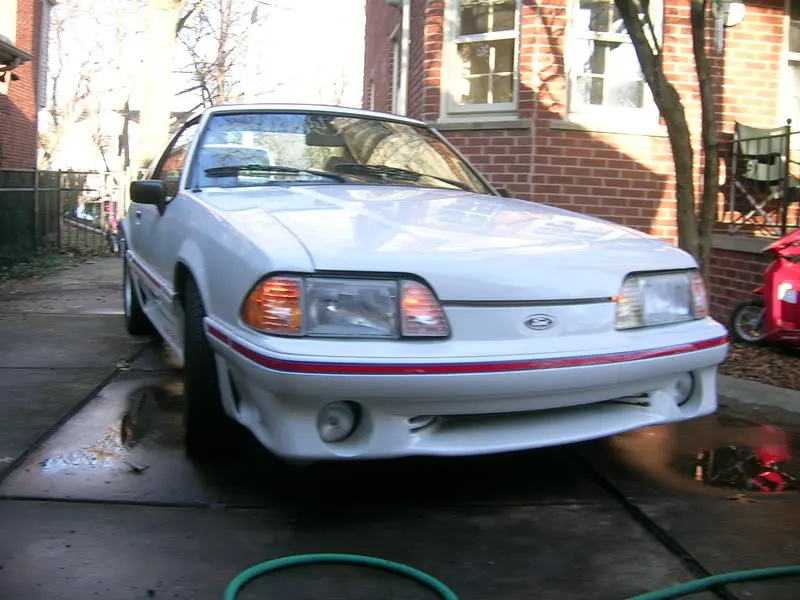 Picture015.webp