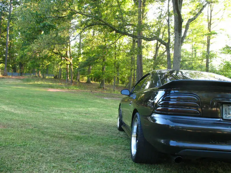 Picture015.webp
