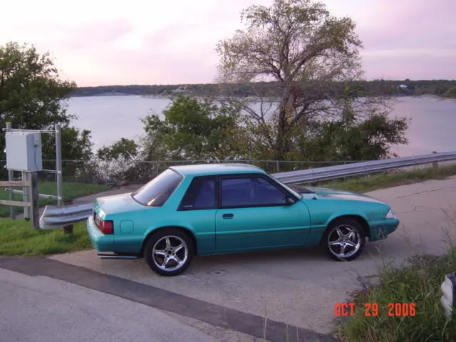 Picture015.webp
