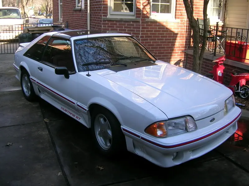 Picture017.webp