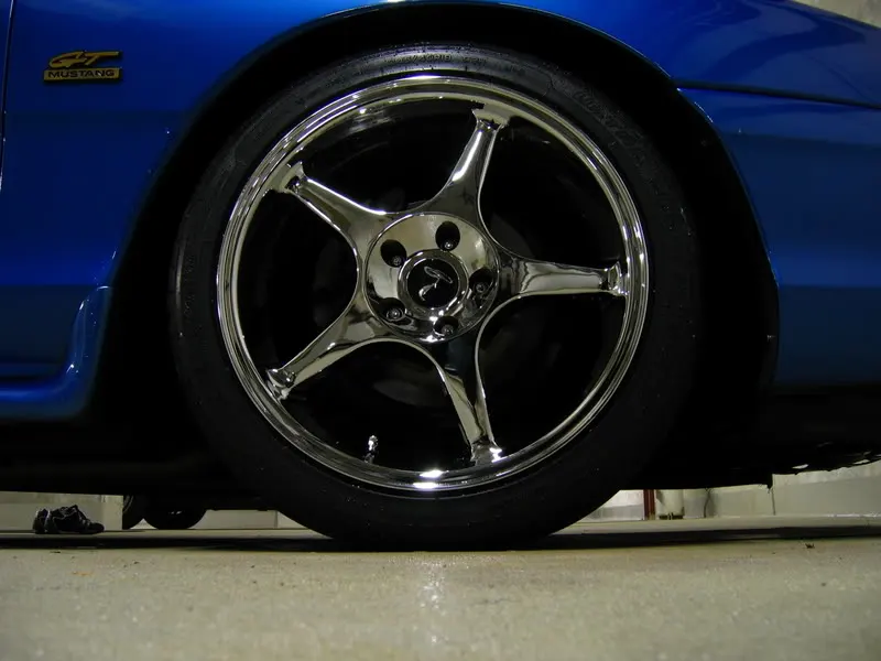Picture018.webp