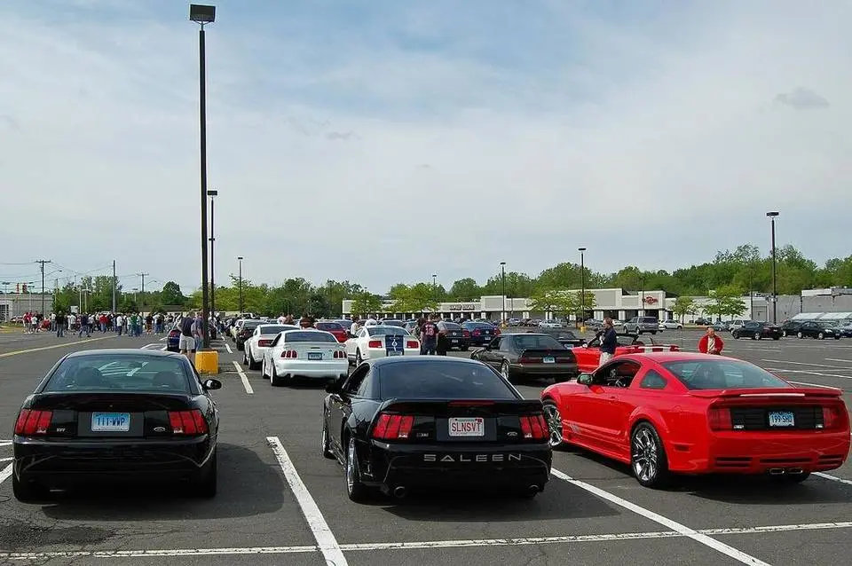 Picture019.webp