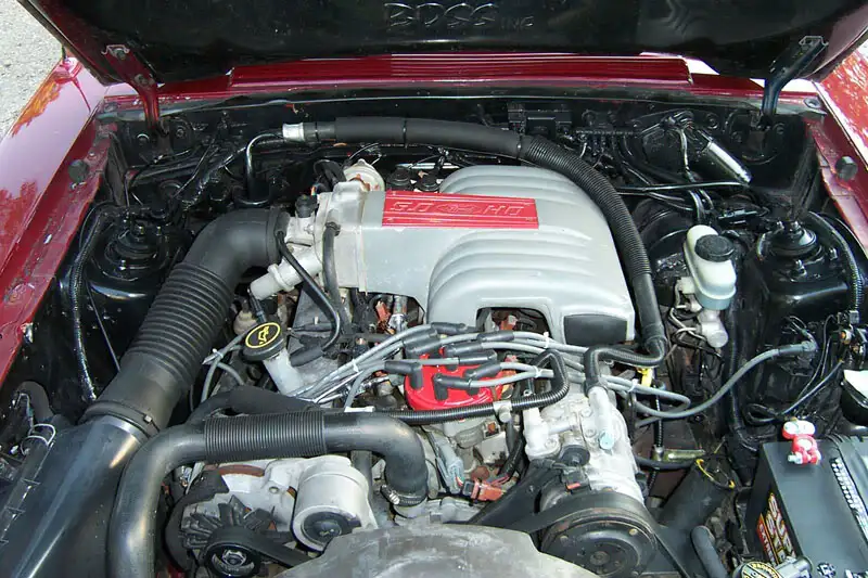 Picture019.webp
