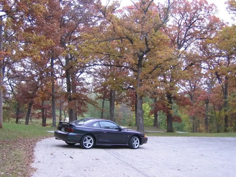 Picture019800x600.webp