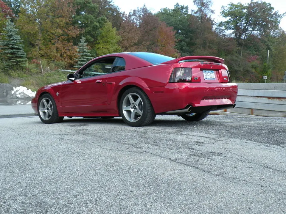 Picture020.webp