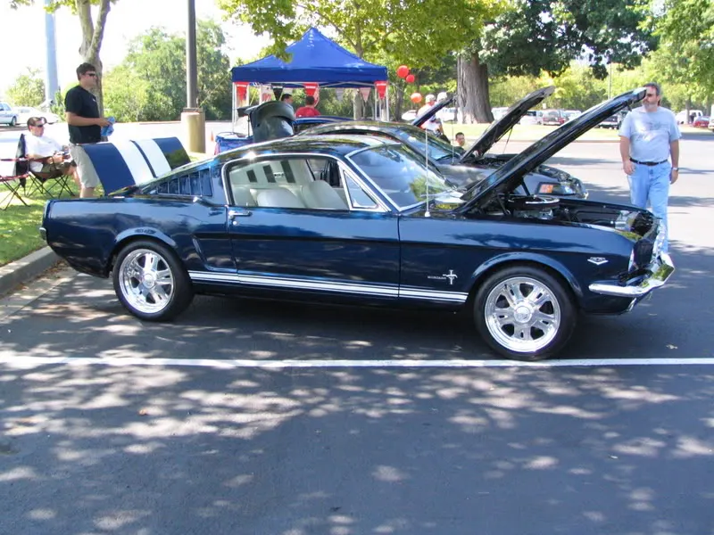 Picture020.webp