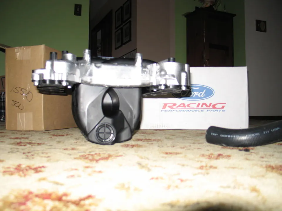Picture021.webp