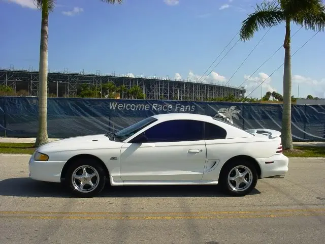 Picture024.webp