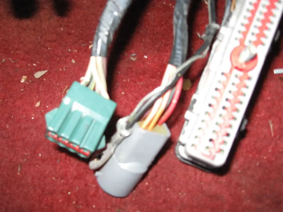 Picture025.webp