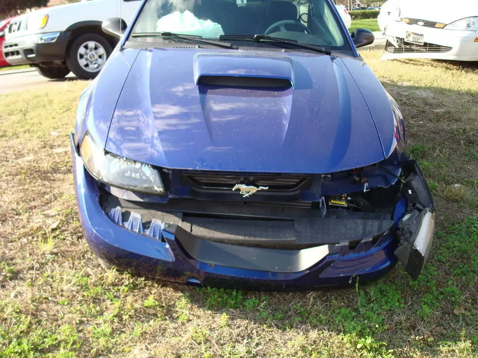 Picture025.webp
