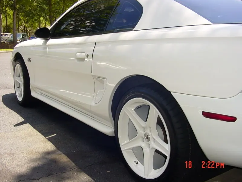 Picture027.webp