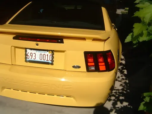 Picture030.webp