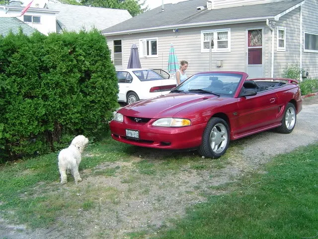 Picture031.webp