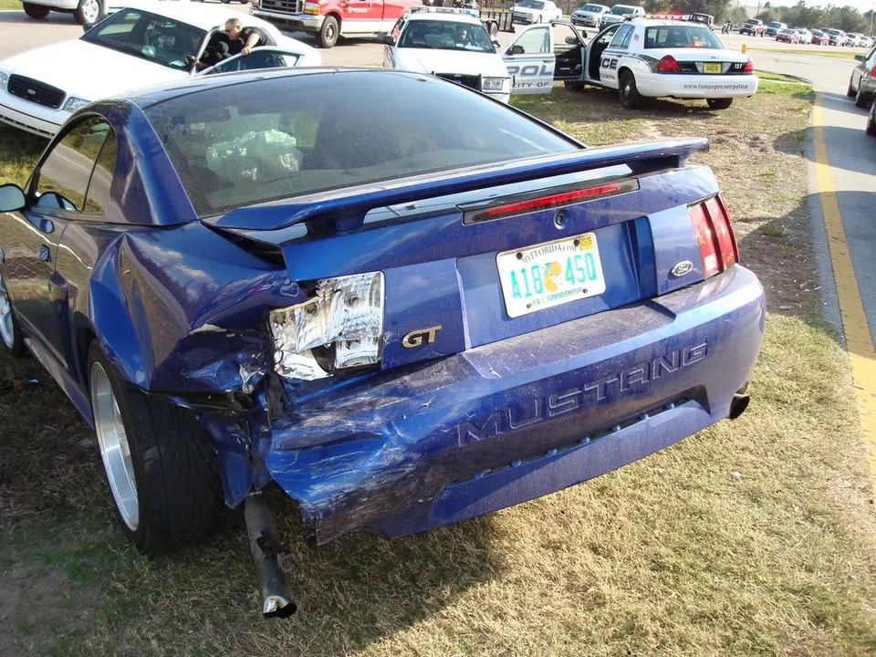 Picture033.webp
