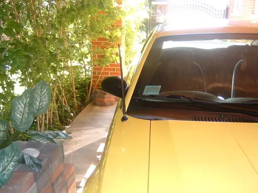 Picture033.webp