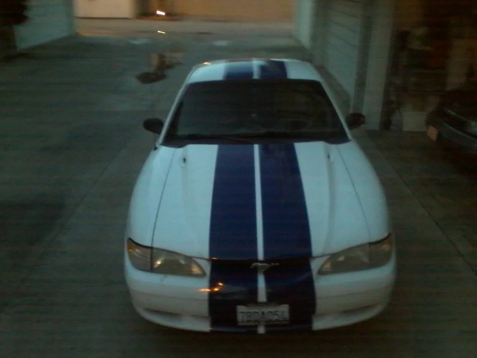 Picture0330141925_1.webp