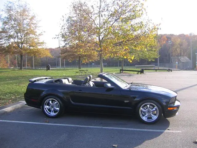 Picture033small.webp