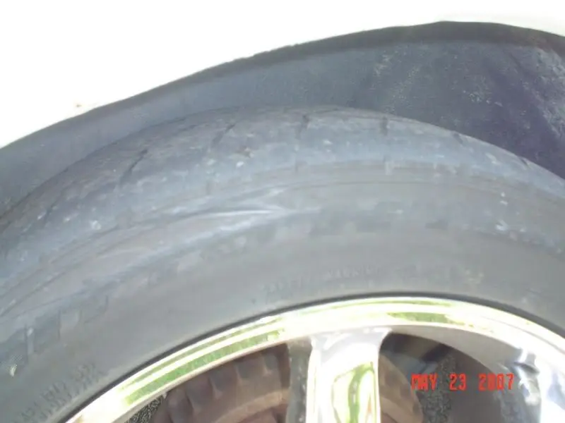 Picture048.webp