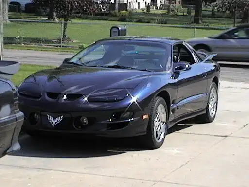 Picture049.webp