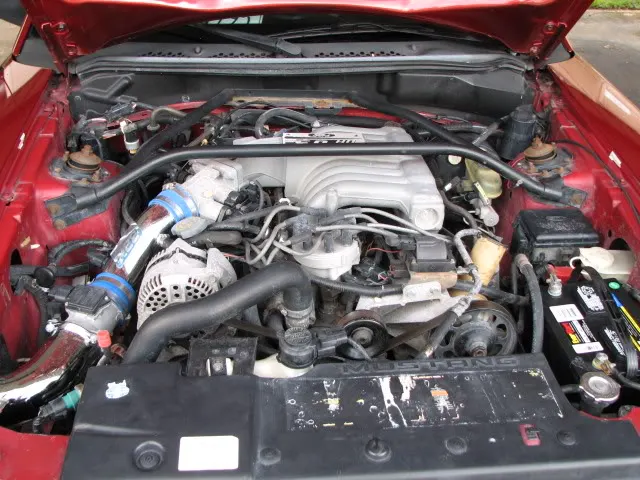 Picture053.webp