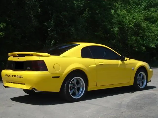 Picture081.webp
