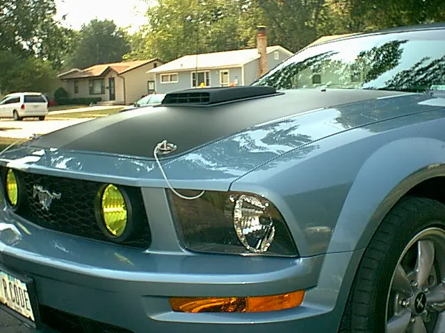Picture097.webp