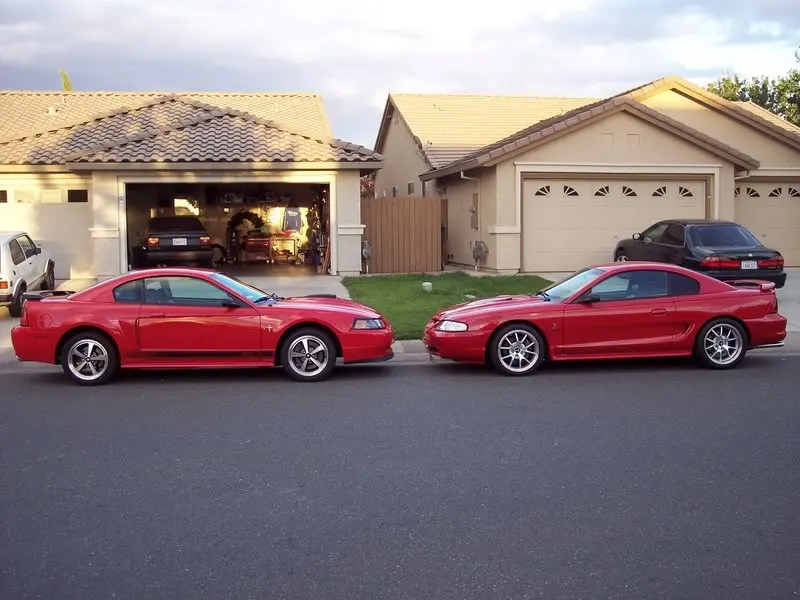 Picture098.webp