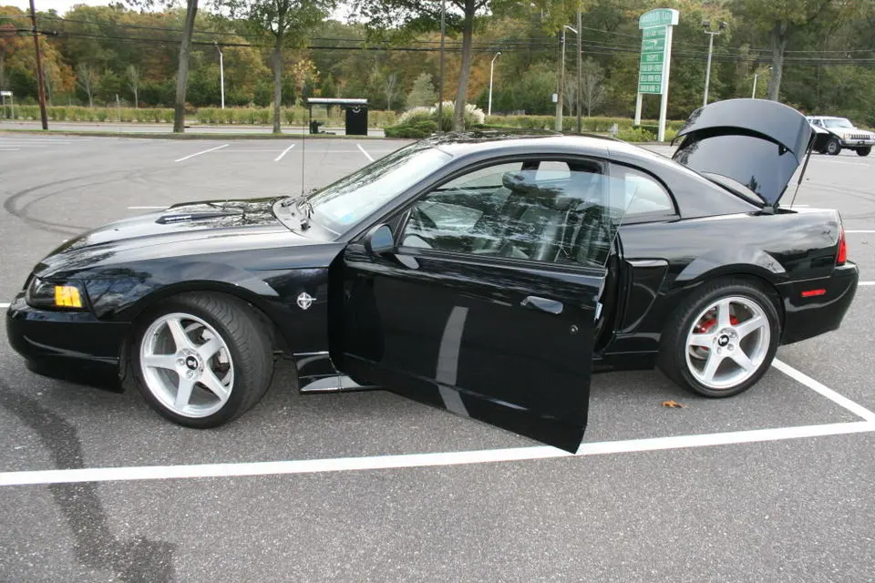 Picture116.webp