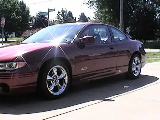 Picture155-1.webp