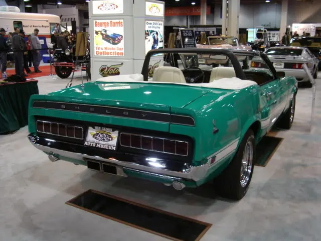 Picture160.webp