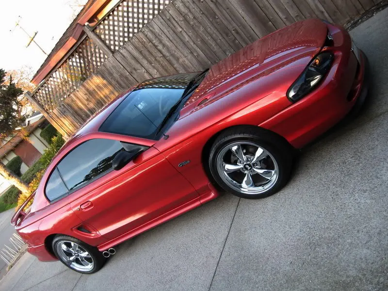picture173ls5.webp