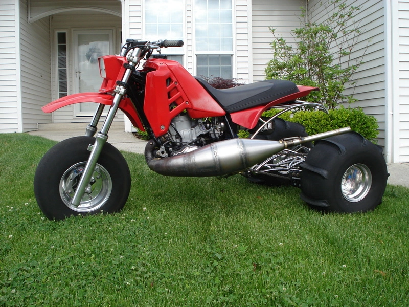 picture177l.webp
