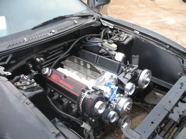 Picture200.webp