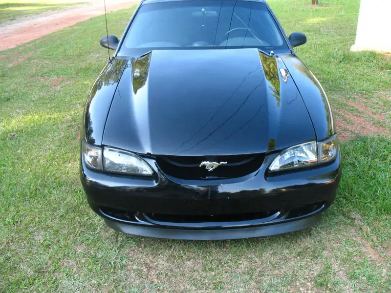 Picture200.webp