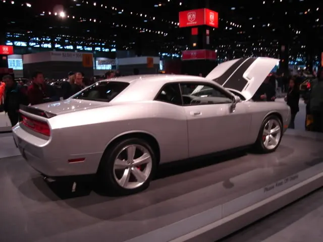 Picture204.webp