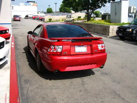 Picture207.webp
