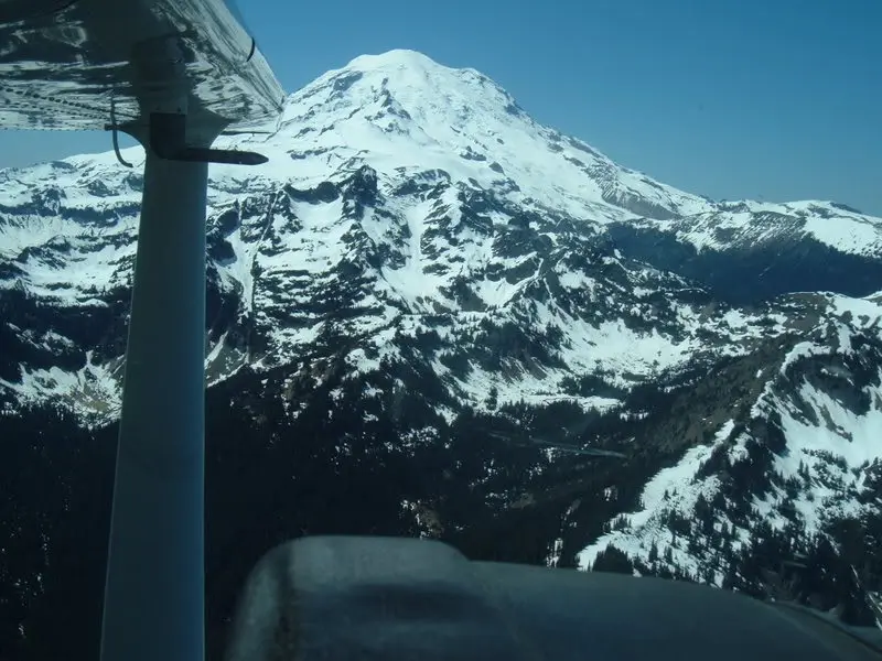 Picture217.webp