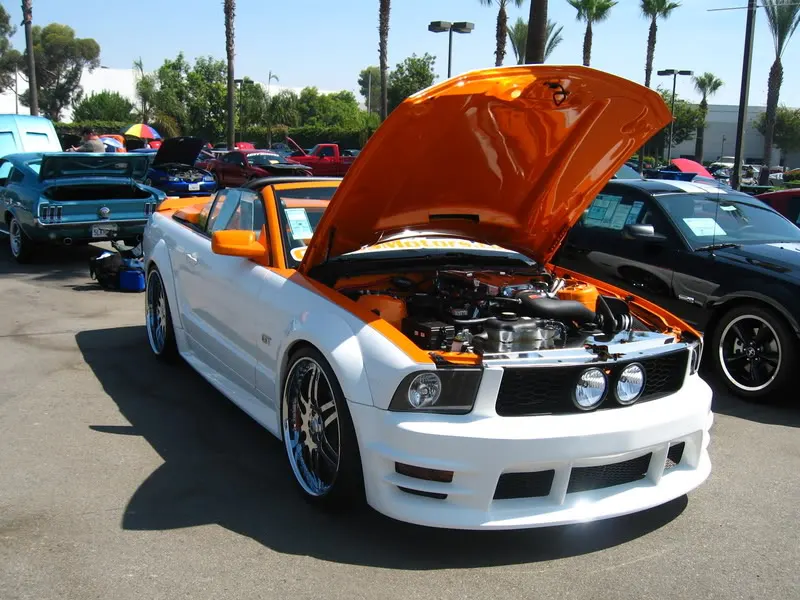 Picture218.webp