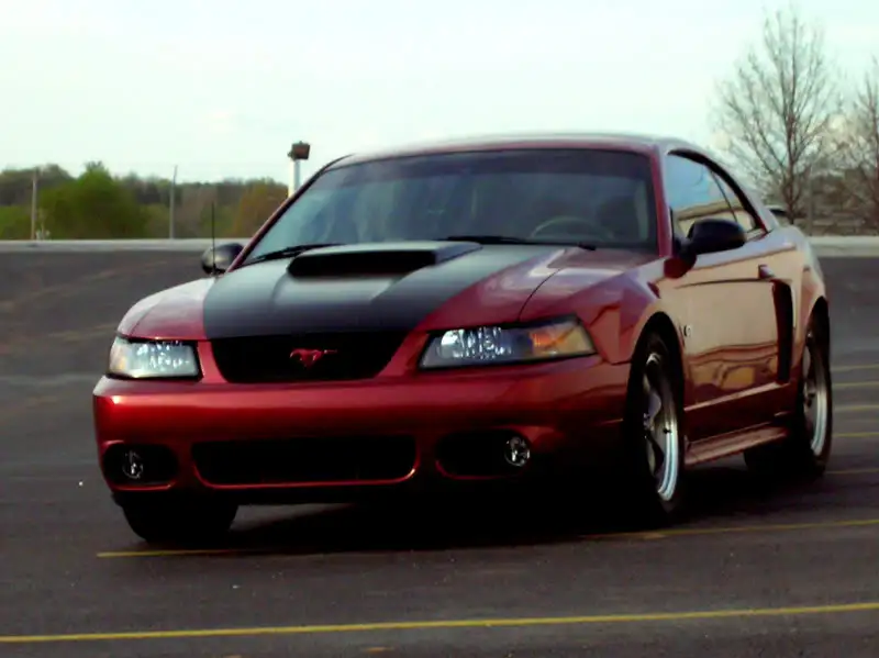 Picture222-1.webp
