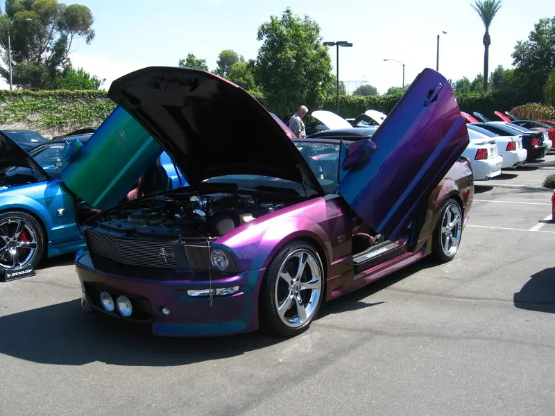 Picture233.webp