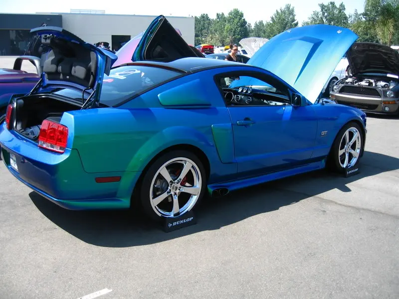 Picture238.webp