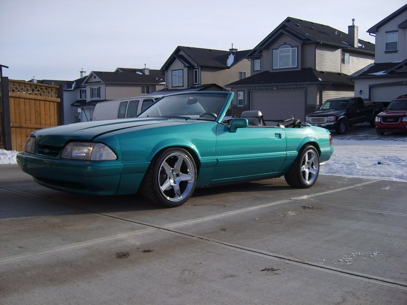 picture283dx1.webp