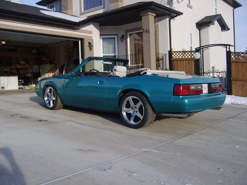 picture284ev1.webp