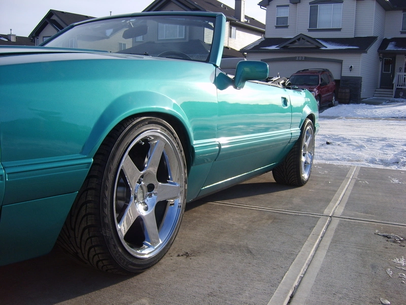 picture288wm2.webp