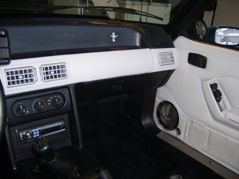 picture308md3.webp
