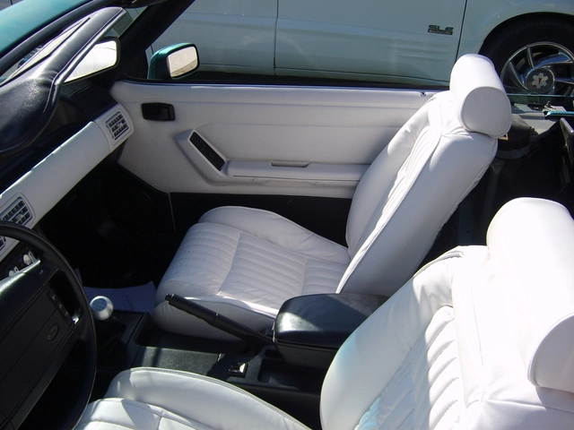 picture327kw3.webp
