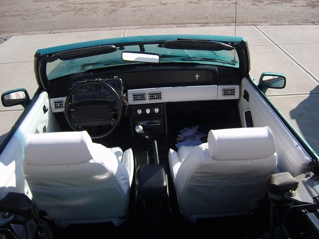 picture330bw5.webp